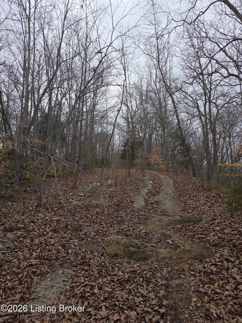 Photo of 1-23 Hillcrest Dr, Cub Run, KY 42729 (MLS # 1711386)