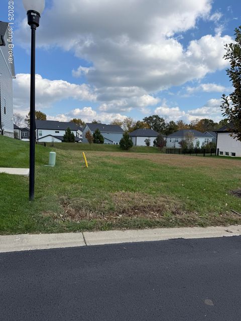 Vacant Land For Sale - 3317 Catalpa Farms Dr<br/> Fisherville, KY 40023
