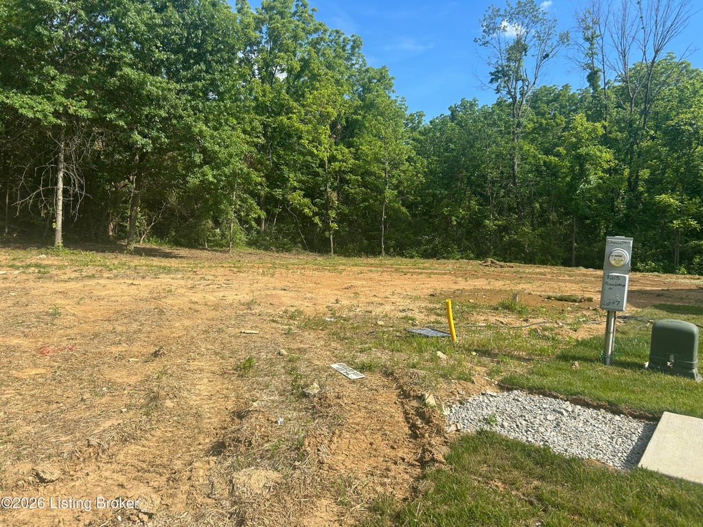 Photo of 8203 Roseborough Rd, Louisville, KY 40228 (MLS # 1720441)