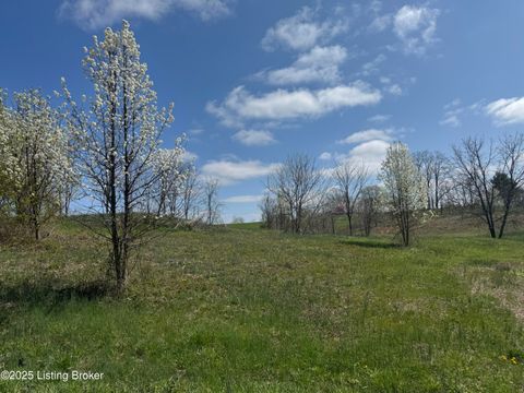 Vacant Land For Sale - Sharon Rd<br/> Carroll County, Ghent, KY 41045