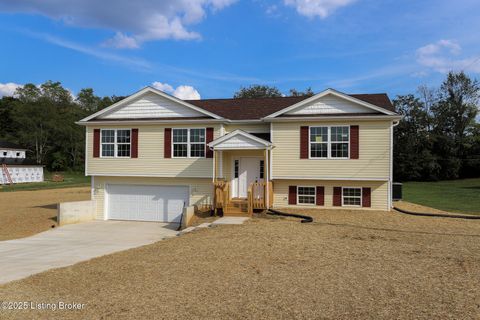 Homes For Sale - 109 Mandan Ct<br/> Guston, KY 40142