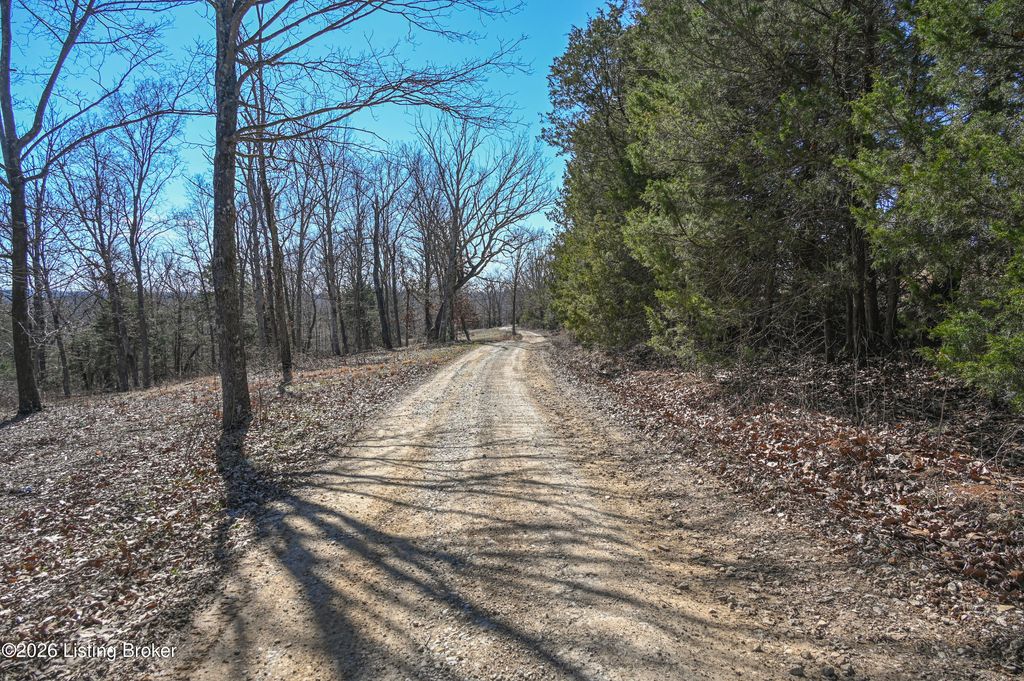 Photo of 1842 E Millerstown Rd, Upton, KY 42784 (MLS # 1710233)