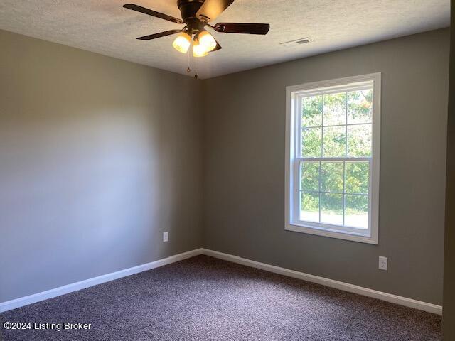 325 Caney Fork Rd, Bardstown, Kentucky image 13