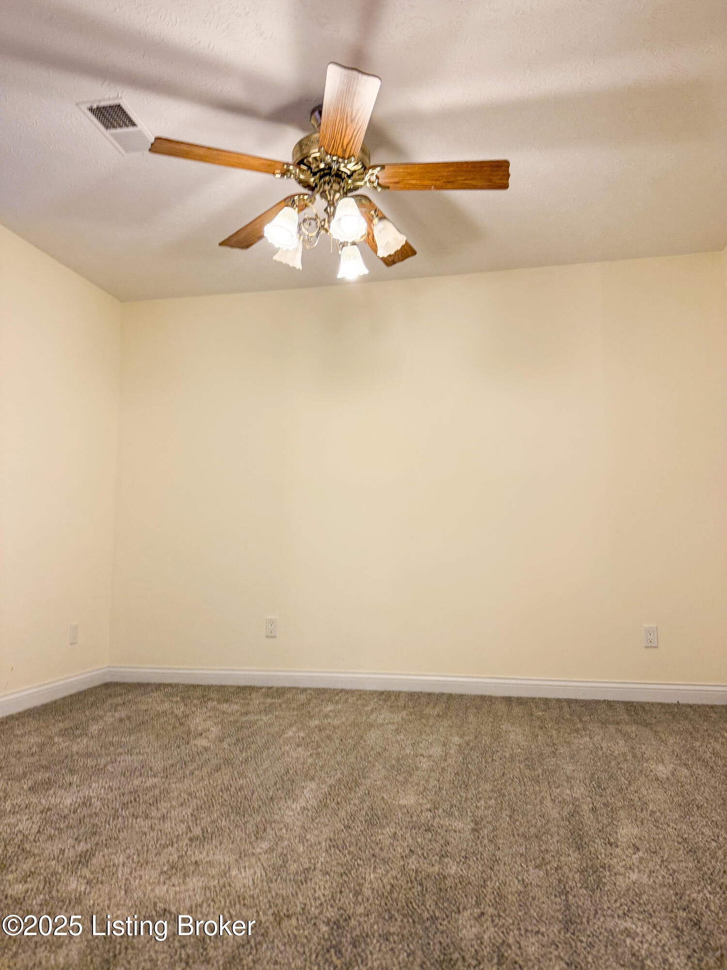 7217 Elizabethtown Rd, Leitchfield, Kentucky image 22