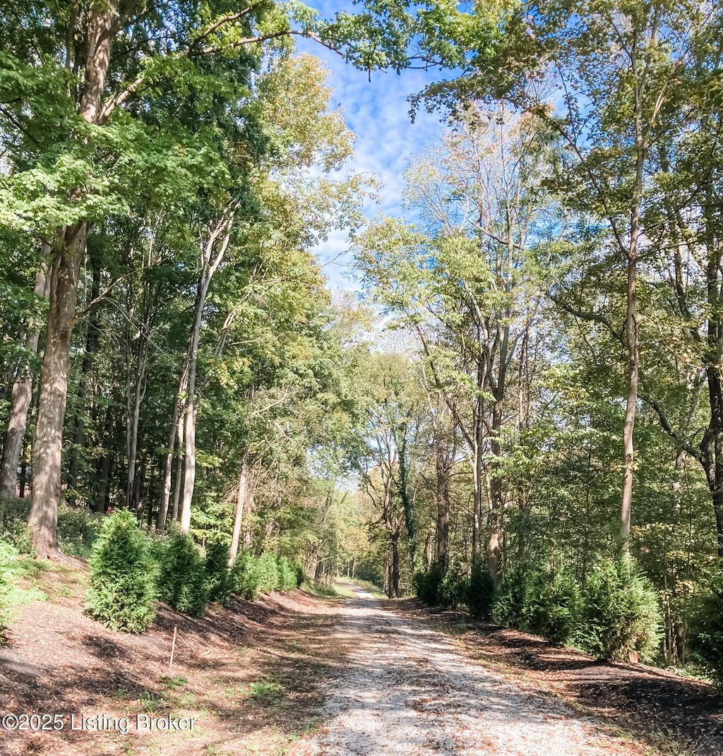 Photo of 7909 Barbour Manor Dr, Louisville, KY 40241 (MLS # 1710857)