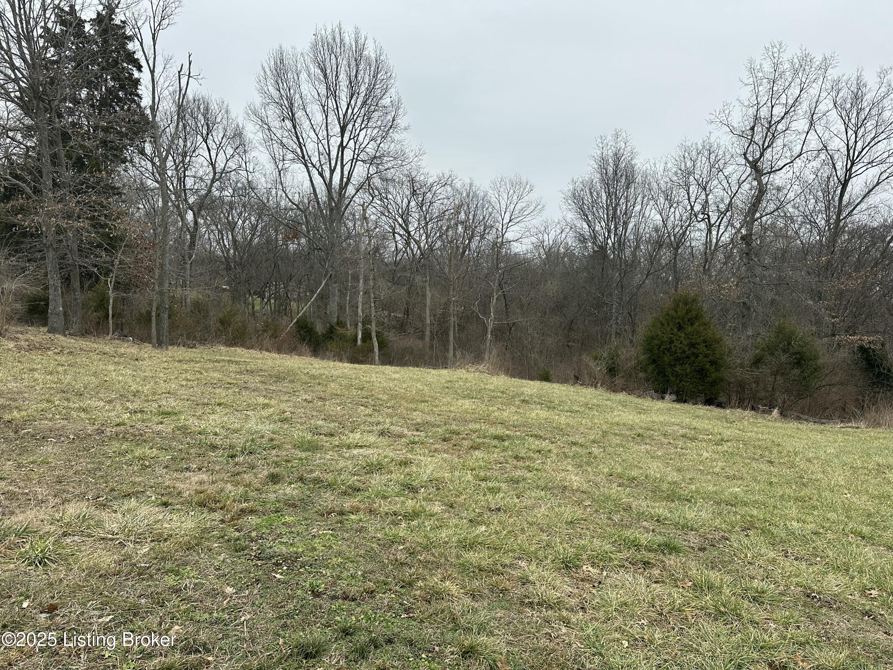 13145 Maddox Ridge Rd, Campbellsburg, Kentucky image 15