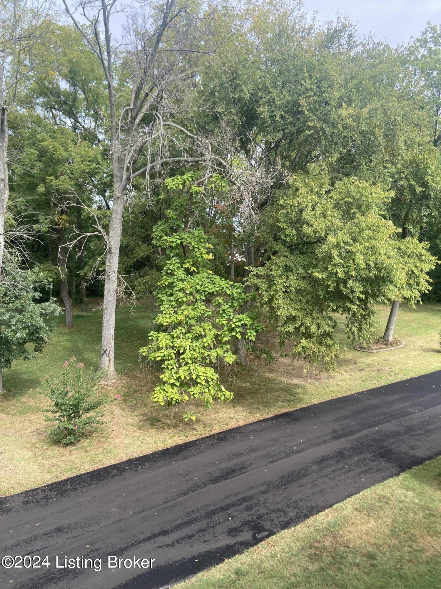 105 Freeman Green Dr #3D, Elizabethtown, Kentucky image 32