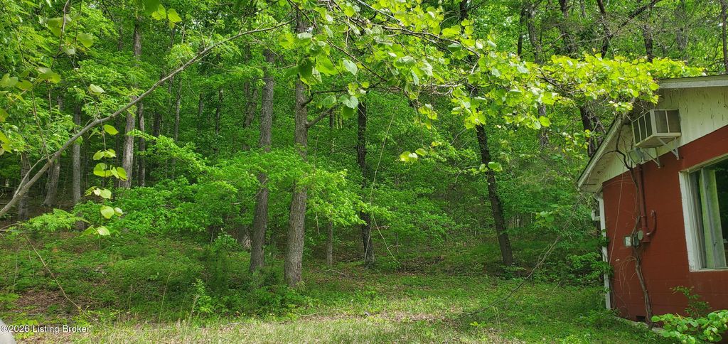 Photo of 2740 Brier Creek Rd, Mammoth Cave, KY 42259 (MLS # 1715637)