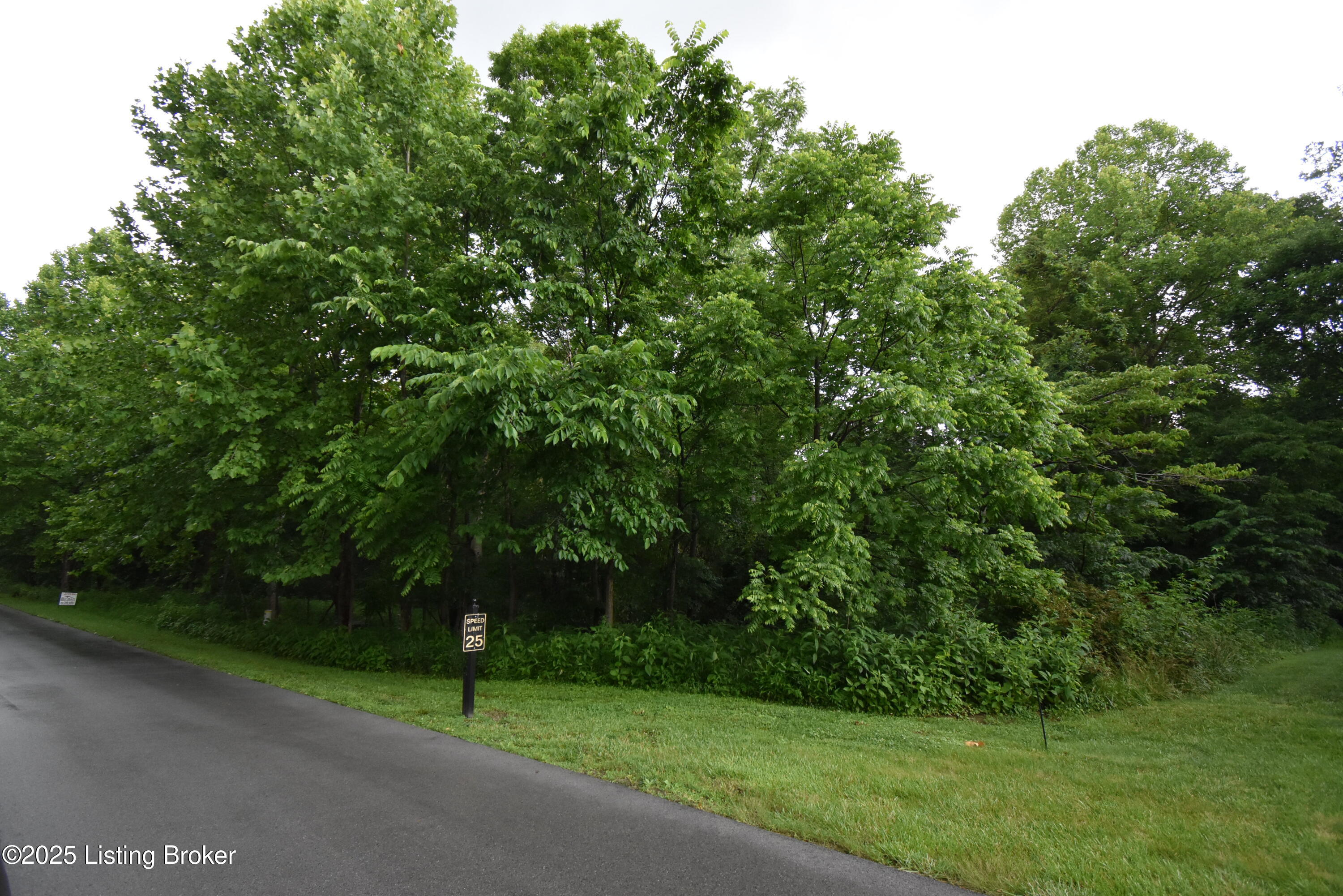 1004-1006 High Pine Ct, Boston, Kentucky image 10