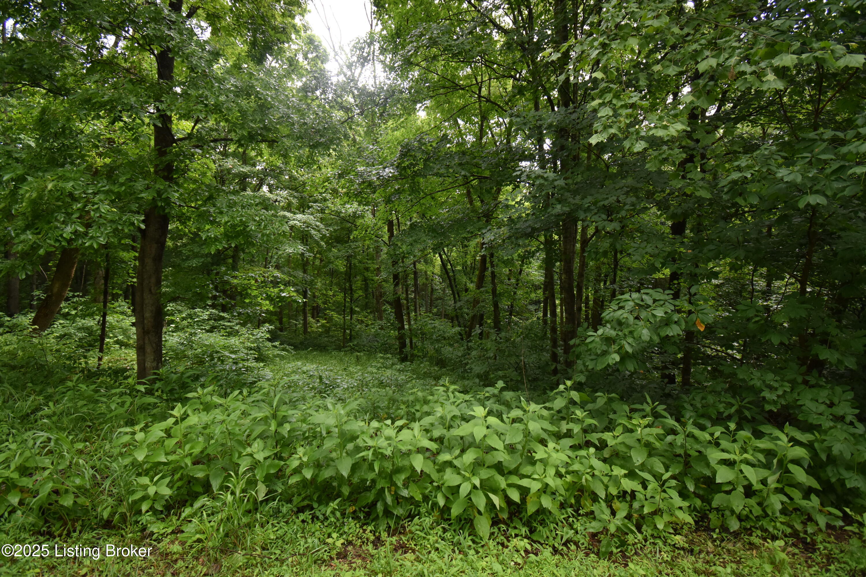 1004-1006 High Pine Ct, Boston, Kentucky image 9