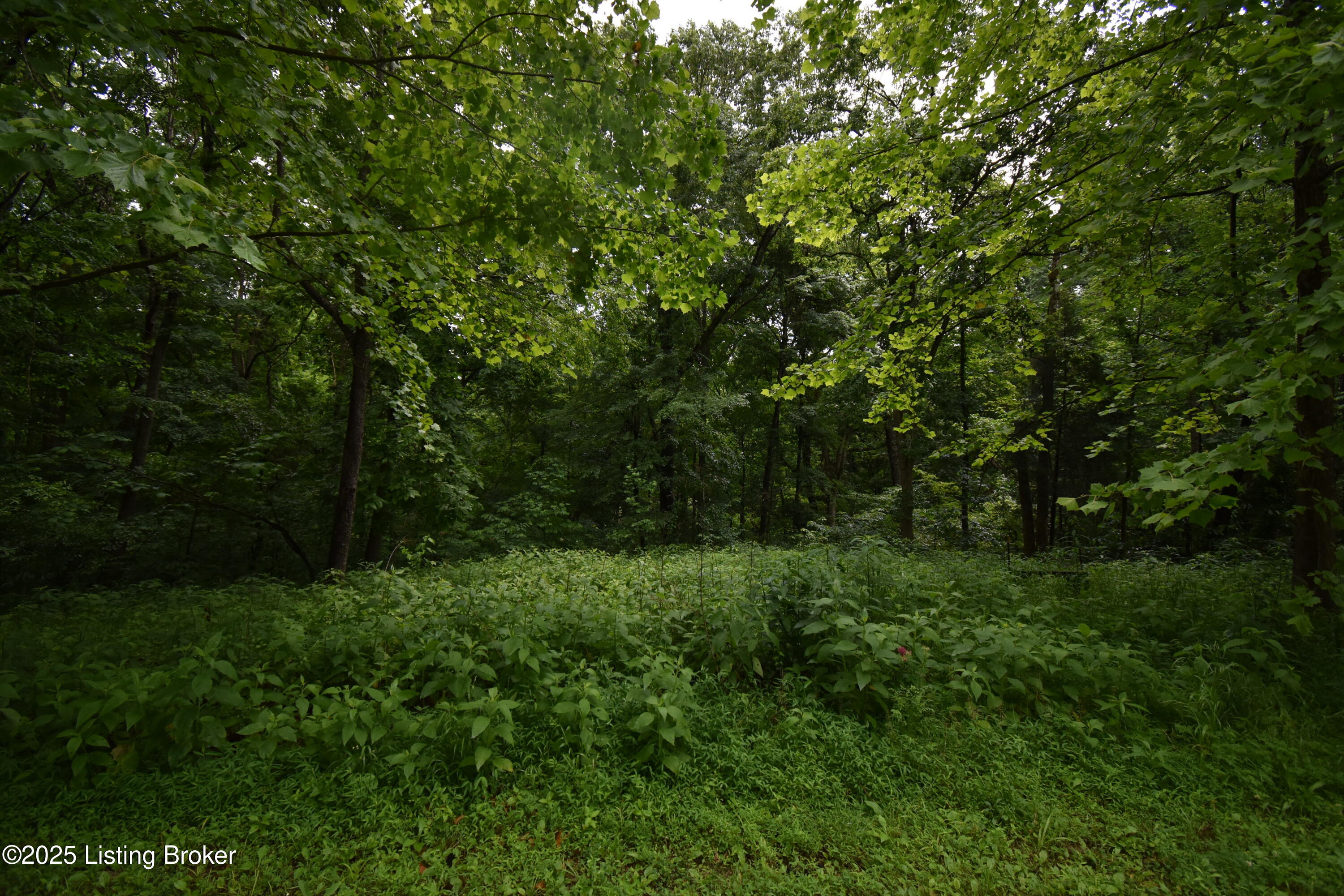 1004-1006 High Pine Ct, Boston, Kentucky image 4