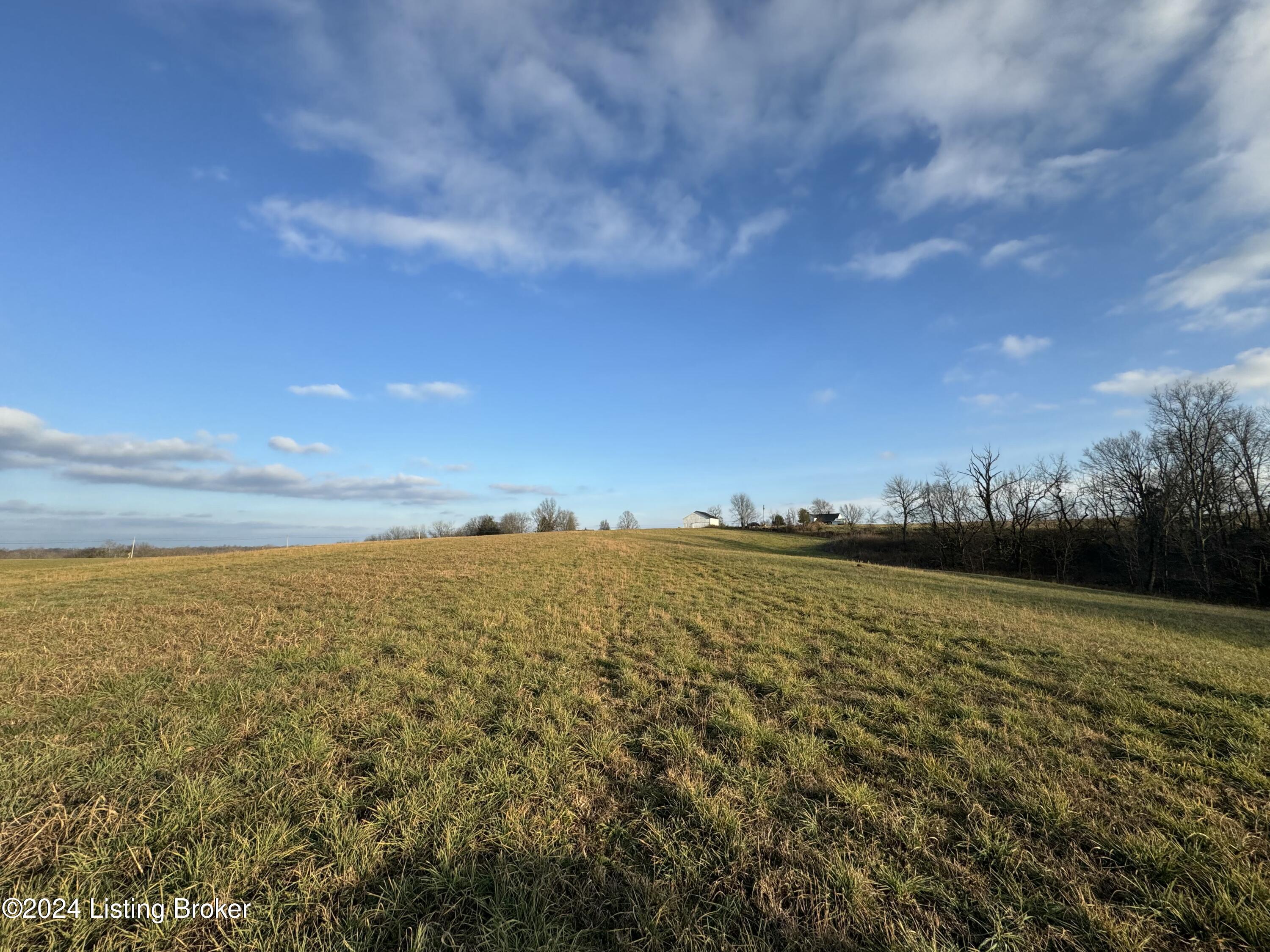 Lot 3 Mt. Eden Road, Waddy, Kentucky image 9