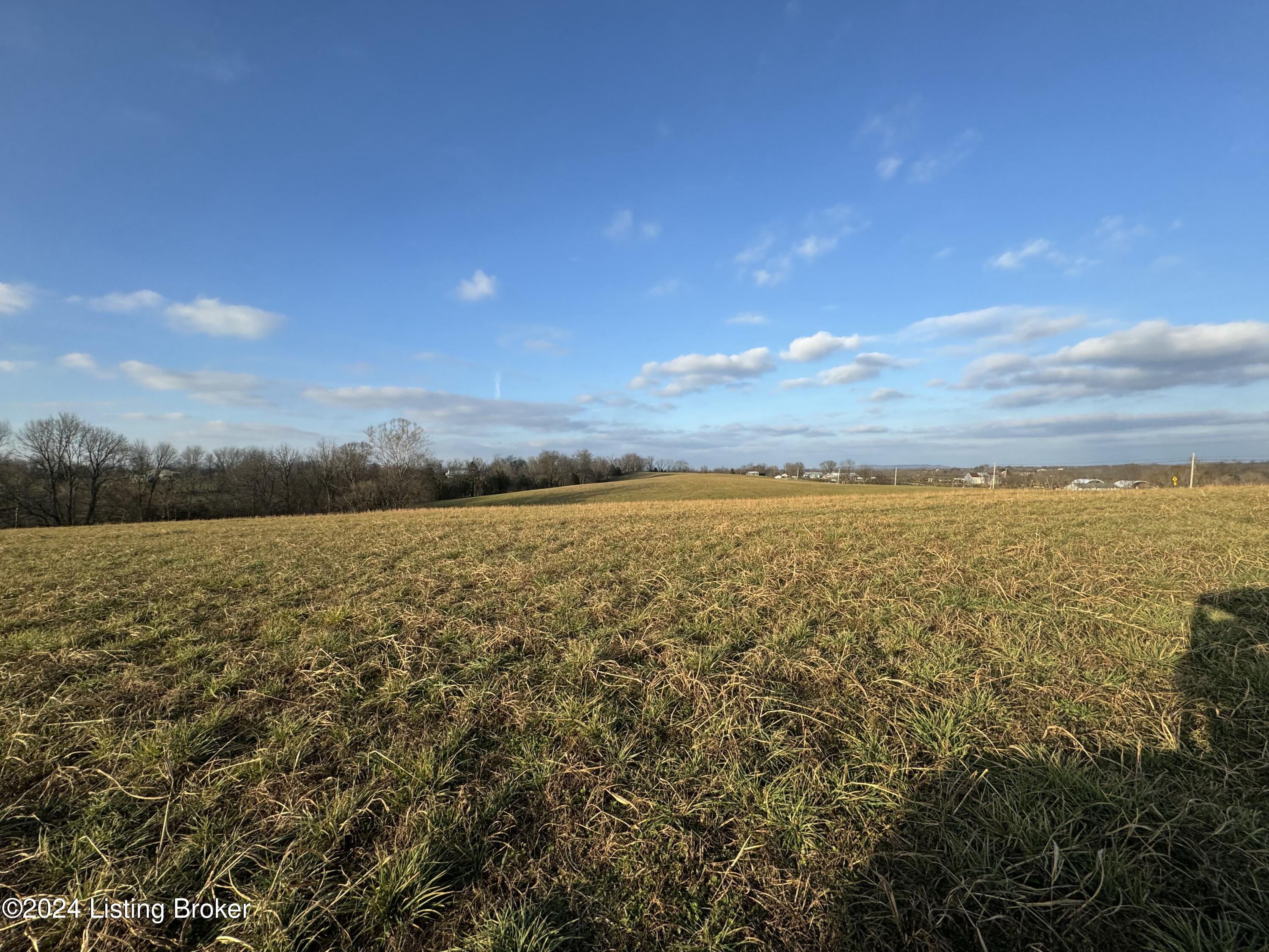 Lot 3 Mt. Eden Road, Waddy, Kentucky image 10
