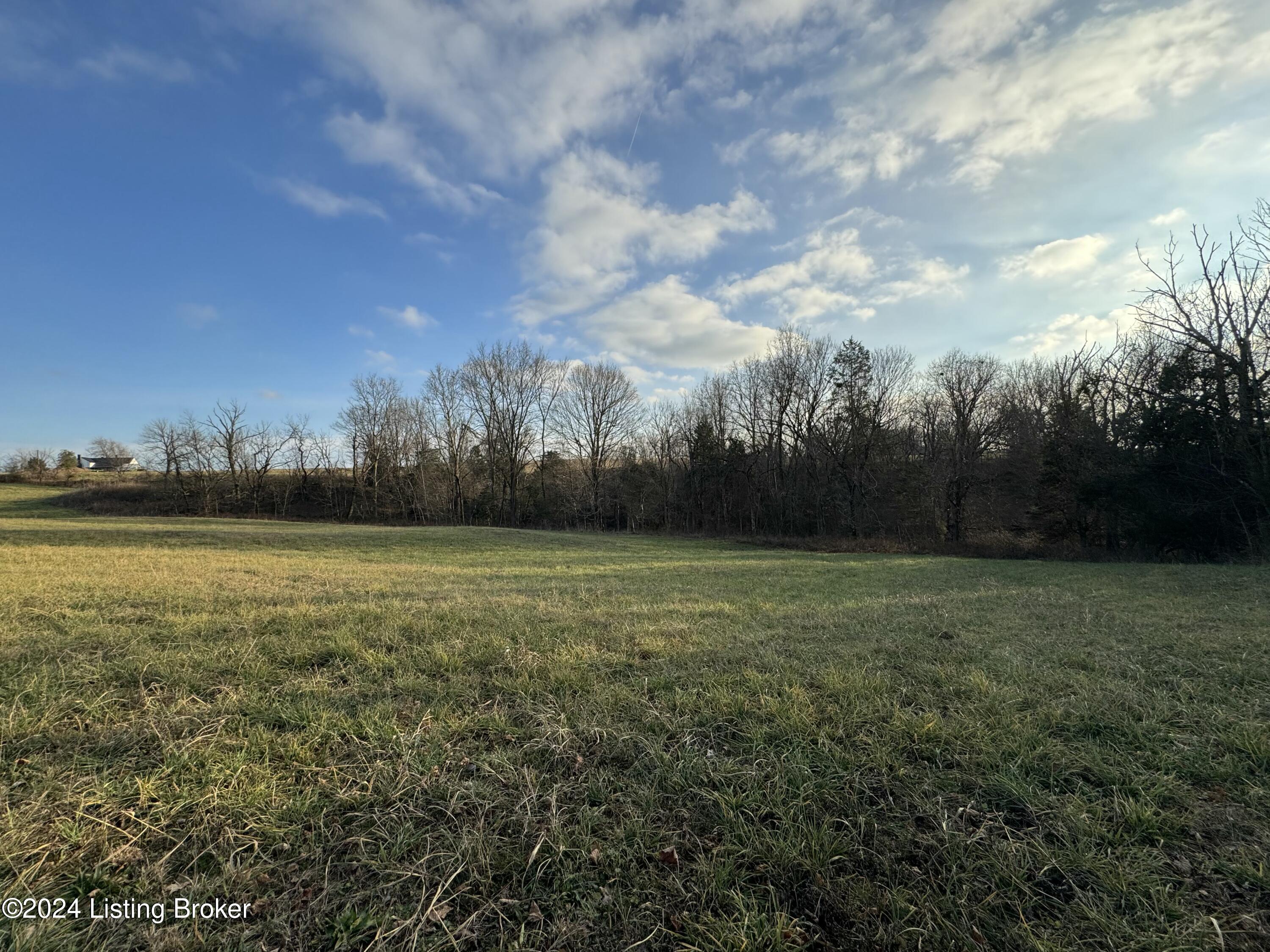 Lot 3 Mt. Eden Road, Waddy, Kentucky image 8