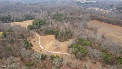 Vacant Land For Sale - 2795 N Pleasant Hill Rd<br/> Hart County, Upton, KY 42784