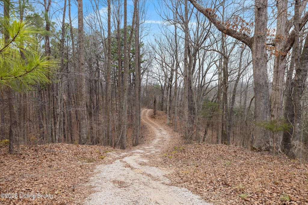 Photo of 2795 N Pleasant Hill Rd, Upton, KY 42784 (MLS # 1706948)