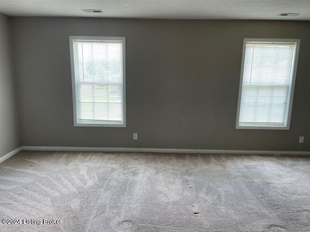 7100 Blue Stream Ct, Louisville, Kentucky image 19