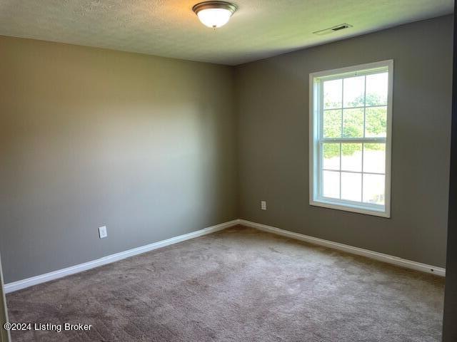 7100 Blue Stream Ct, Louisville, Kentucky image 24