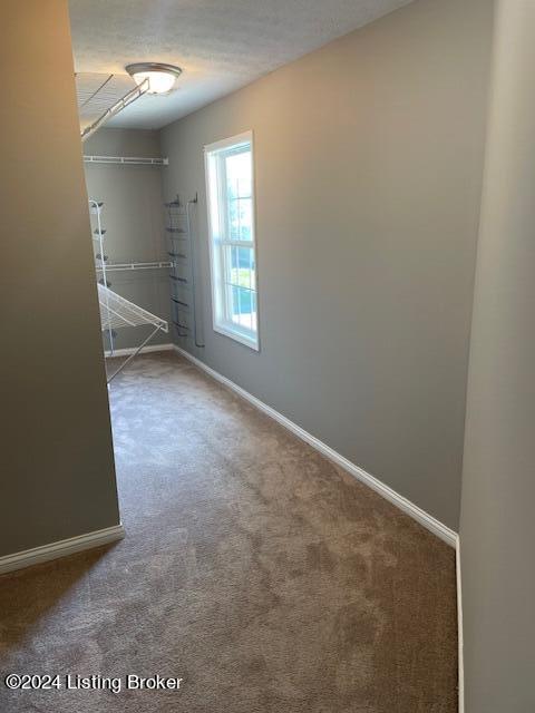 7100 Blue Stream Ct, Louisville, Kentucky image 16