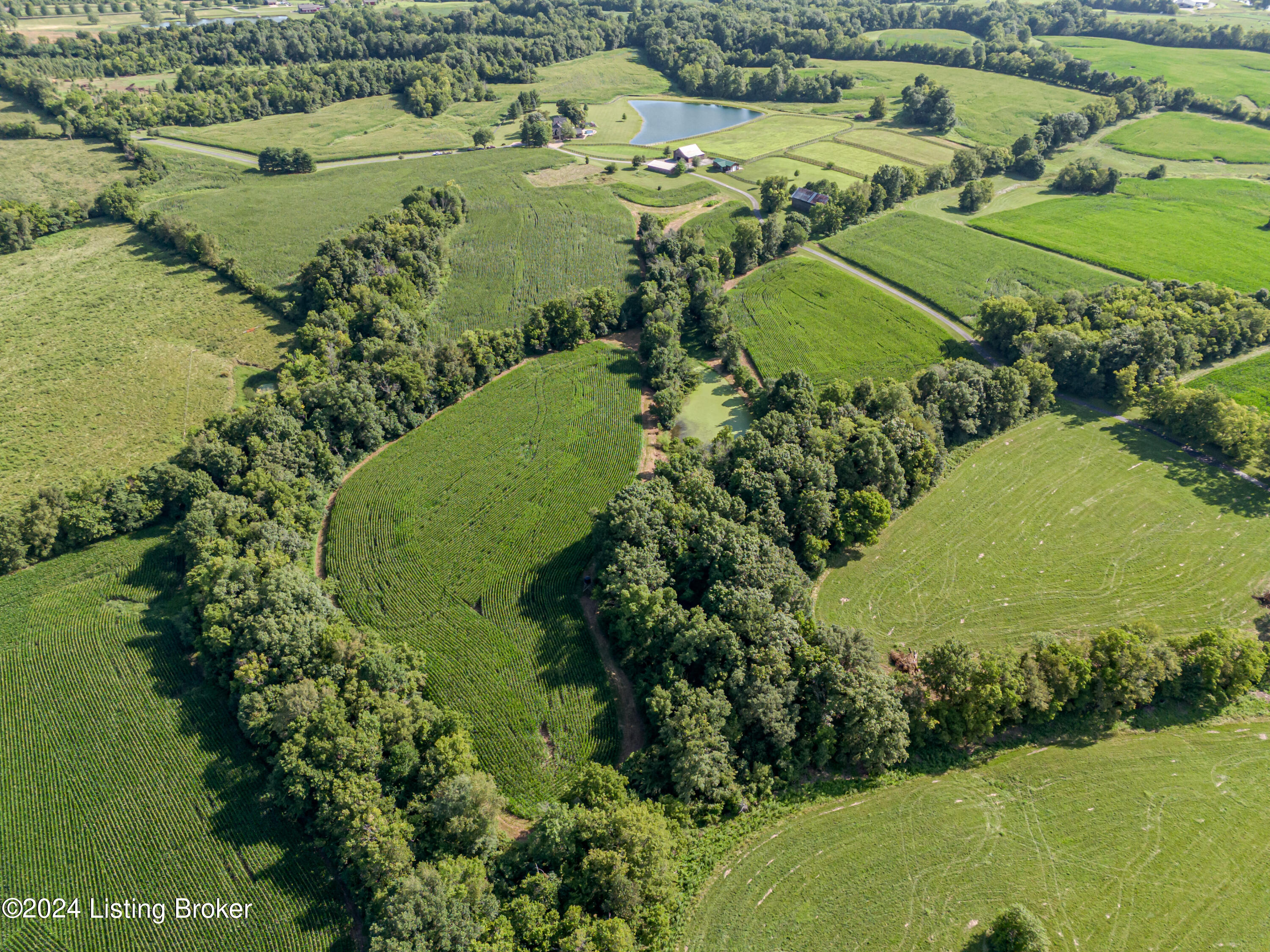 411 Paddock Ln, Simpsonville, Kentucky image 13