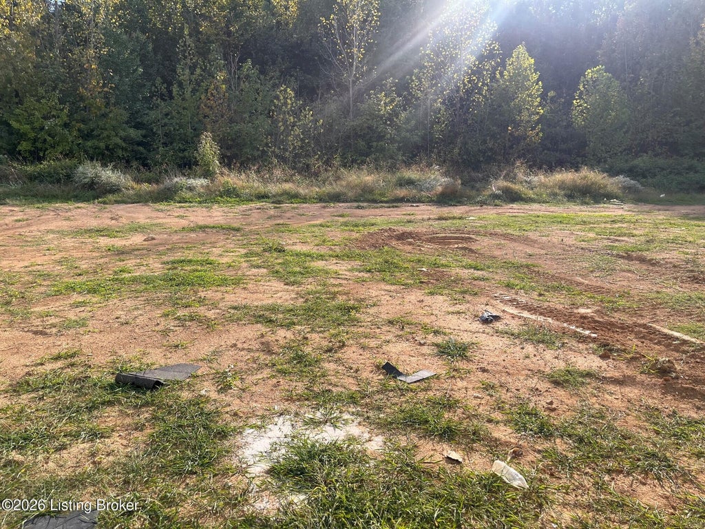 Photo of 8402 Hollis Vw Way, Louisville, KY 40214 (MLS # 1730556)