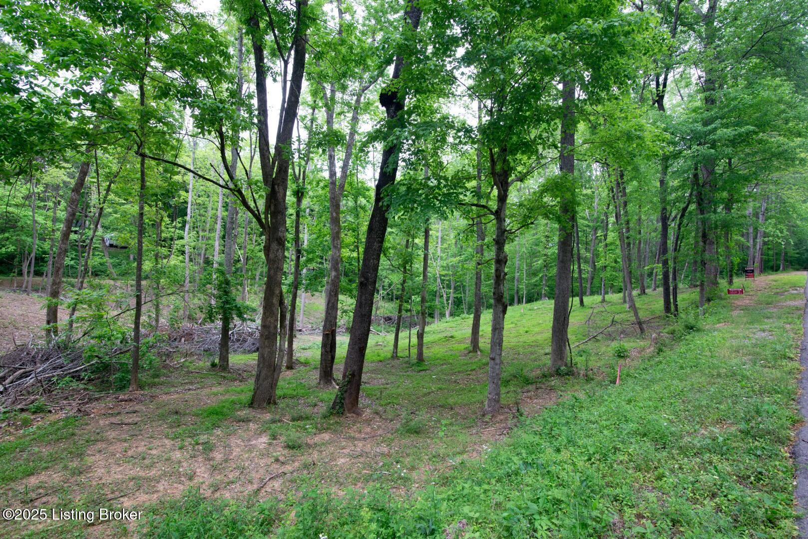 Lot 23A Walleye Way, Scottsville, Pennsylvania image 9