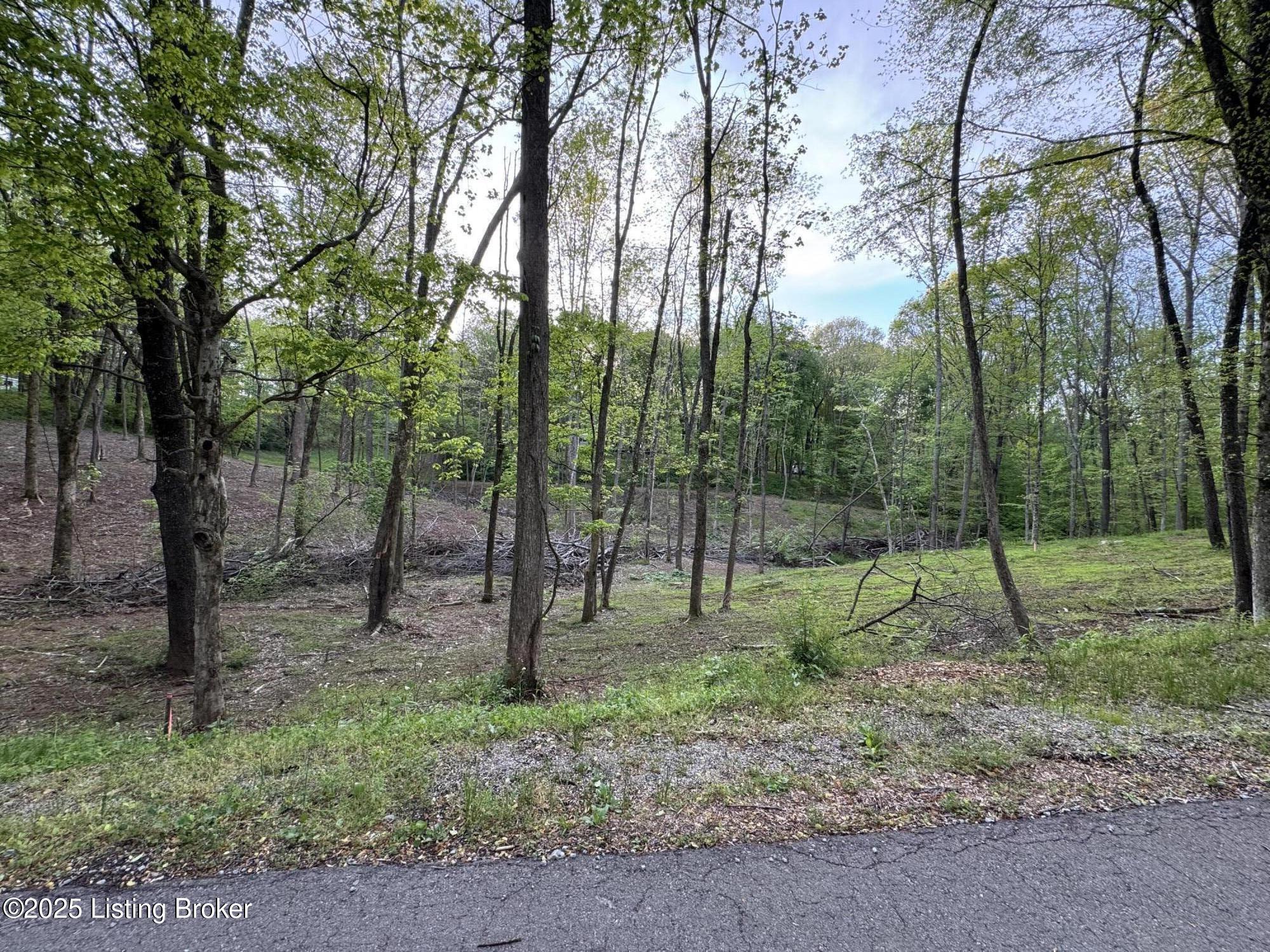 Lot 23A Walleye Way, Scottsville, Pennsylvania image 1