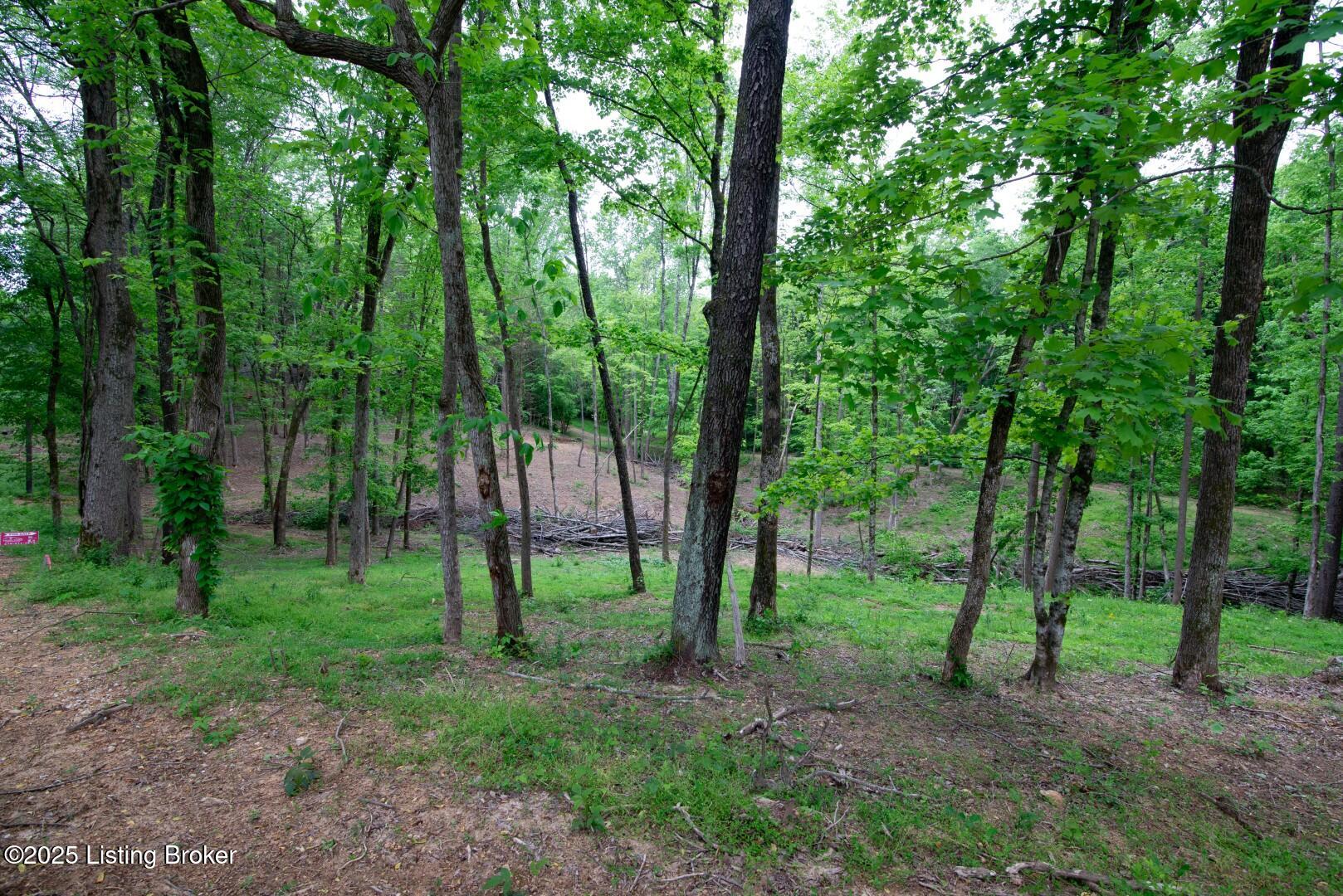 Lot 23A Walleye Way, Scottsville, Pennsylvania image 7