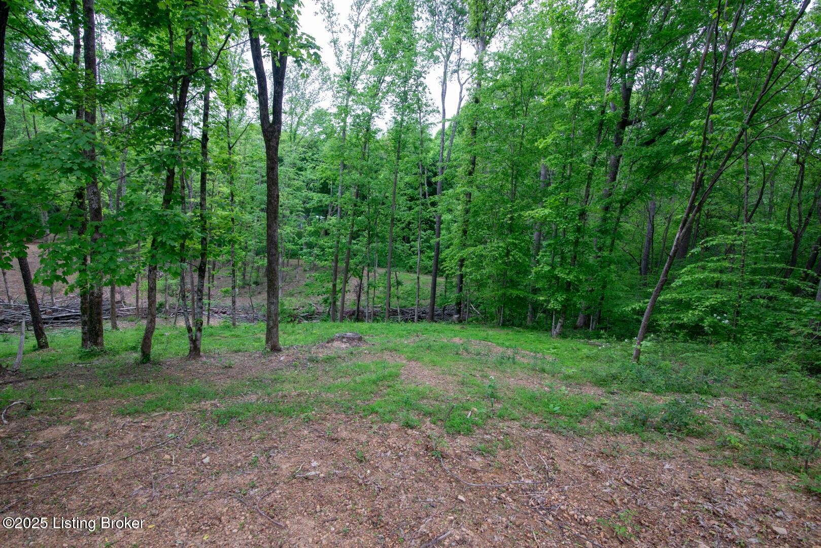 Lot 23A Walleye Way, Scottsville, Pennsylvania image 6
