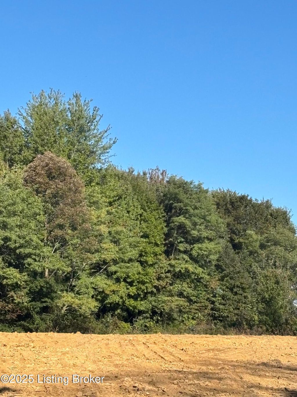 Photo of 3352 Morton Ridge Rd #Lot 1B, Bedford, KY 40006 (MLS # 1704451)
