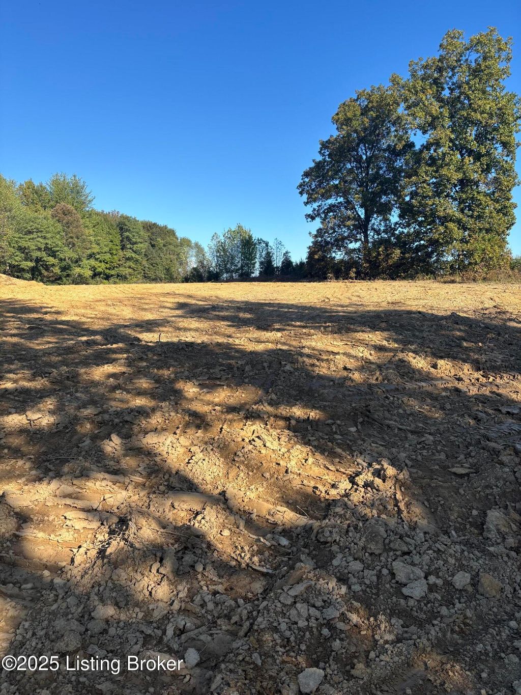 Photo of 3352 Morton Ridge Rd #Lot 1B, Bedford, KY 40006 (MLS # 1704451)