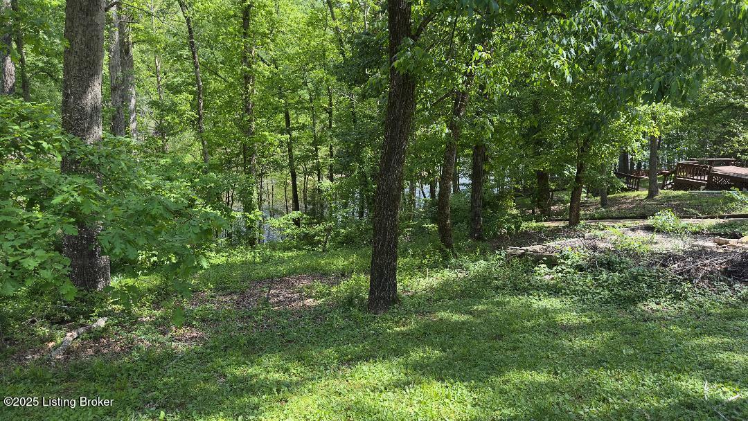 403 Timberlake Ln Ln, McDaniels, Kentucky image 33