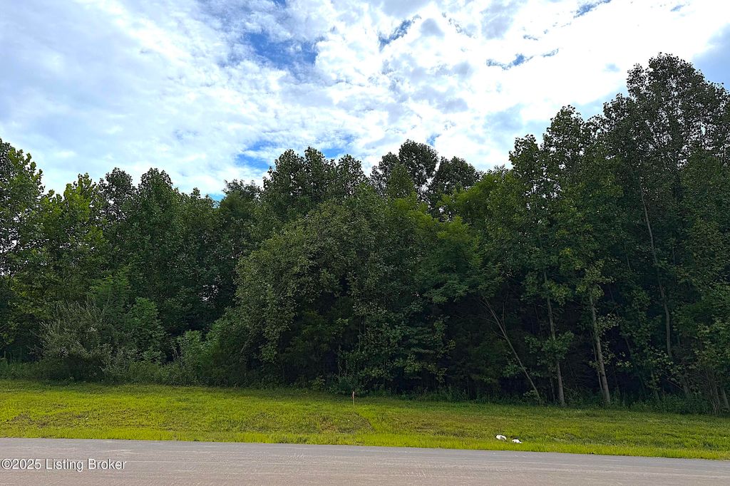 Photo of 5304 Sycamore Ridge Ln, La Grange, KY 40031 (MLS # 1697475)
