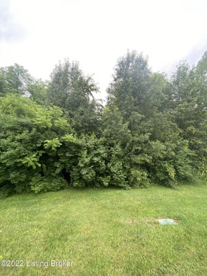6205 PEBBLE CT, CRESTWOOD, KY 40014 - Image 47ca3295a58de38c71fceb5e6c8f6667/940391679
