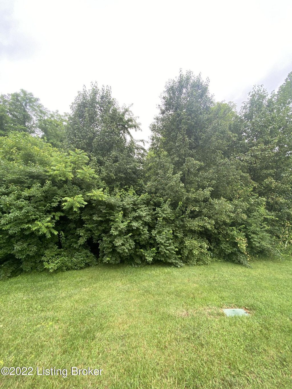 Photo of 6205 Pebble Ct, Crestwood, KY 40014 (MLS # 1613755)