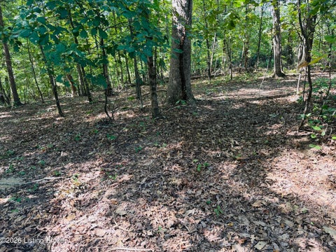 Photo of Lot 52 Rams Run, Shepherdsville, KY 40165 (MLS # 1730251)