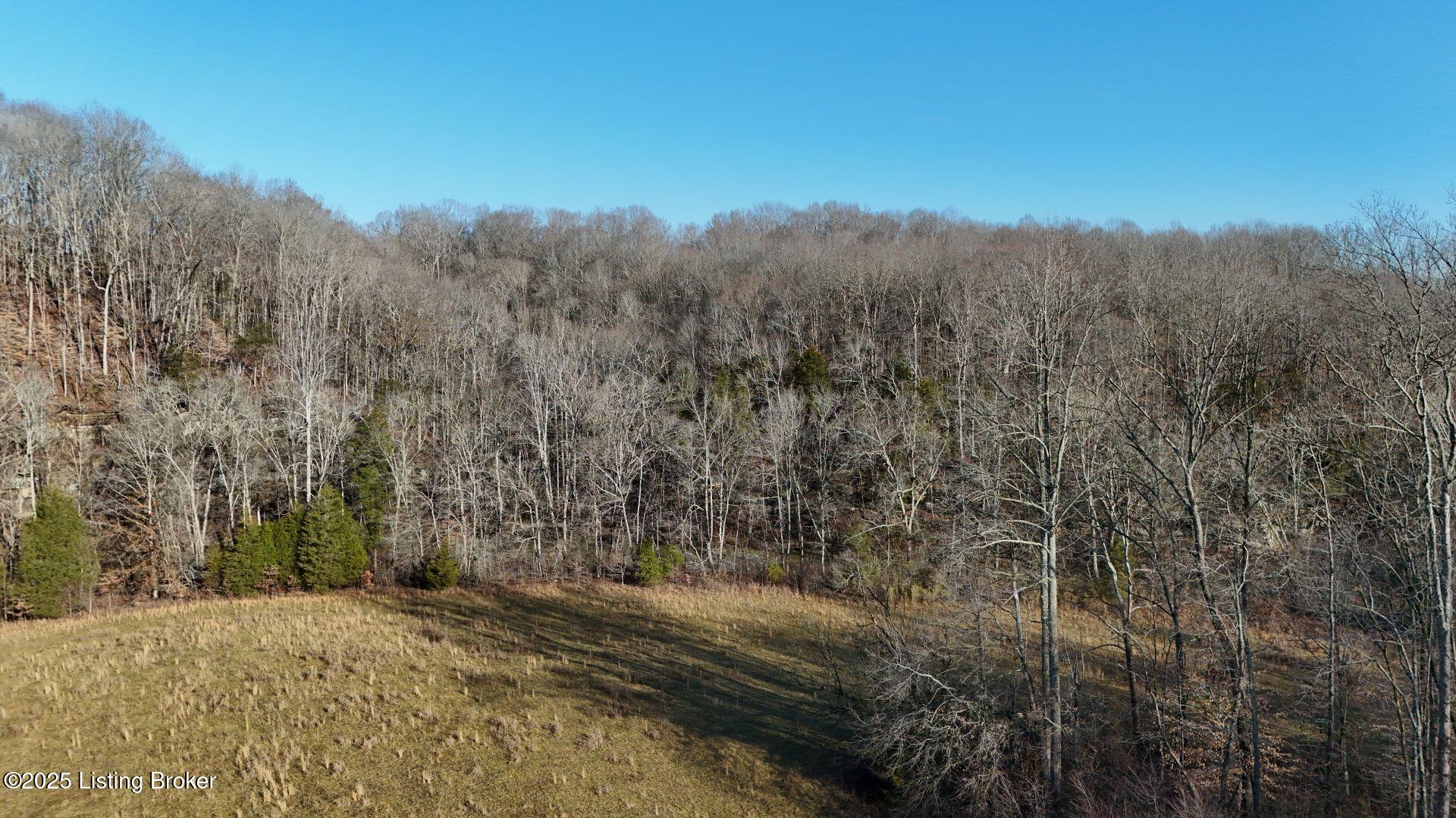 36 AC Rainbow Trout Road, Summersville, Kentucky image 6