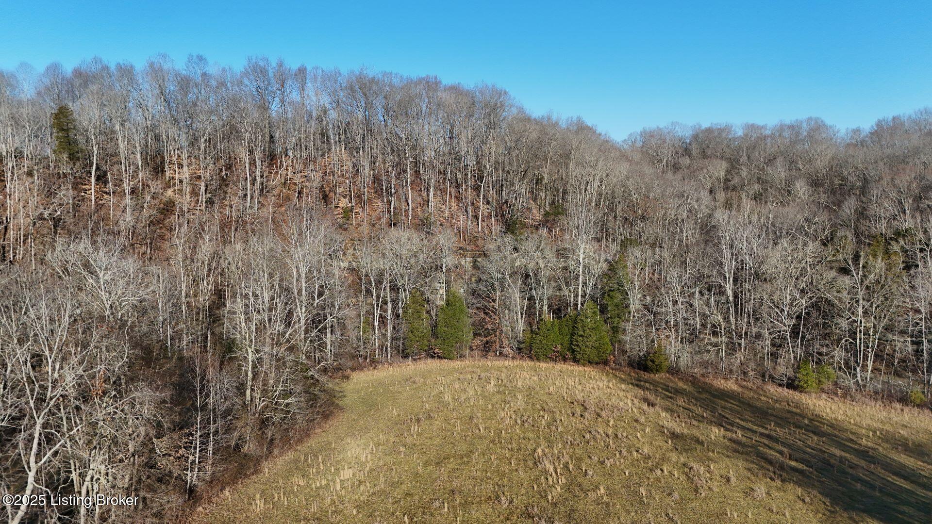 36 AC Rainbow Trout Road, Summersville, Kentucky image 5
