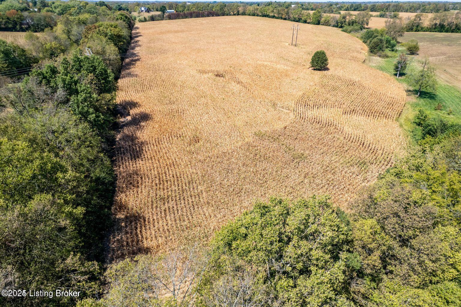 2480 Burks Branch Rd, Shelbyville, Kentucky image 5