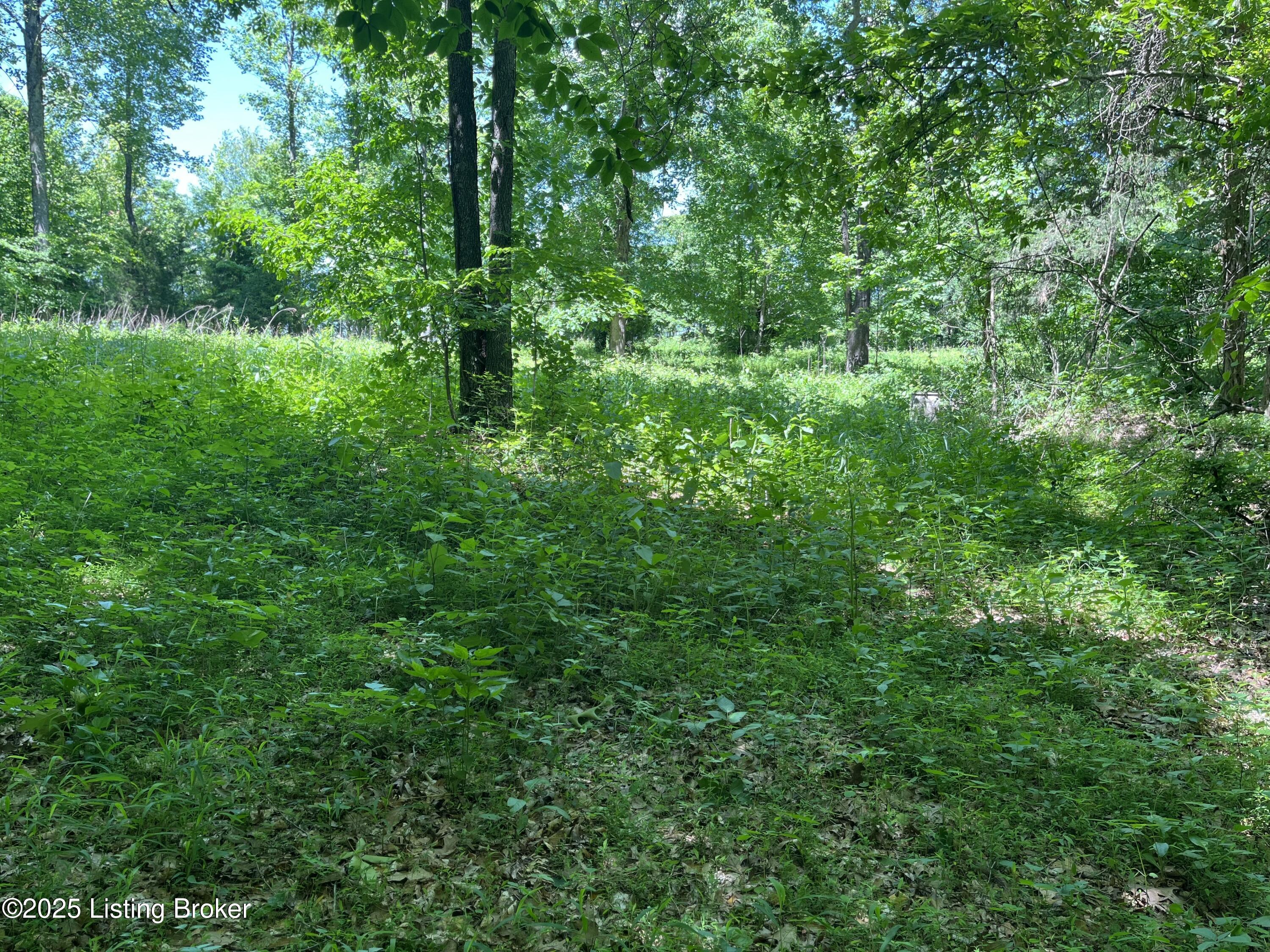 950 Bear Creek Dr, Leitchfield, Kentucky image 3