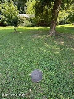 Photo of 80 Summermont Cir, Summer Shade, KY 42166 (MLS # 1728893)