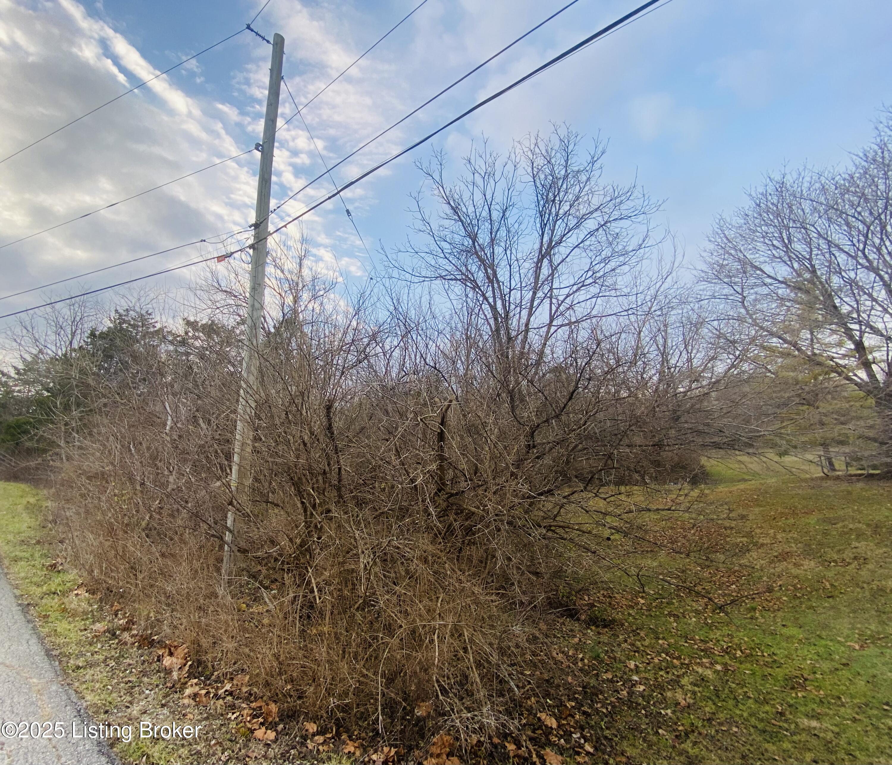 1805 Wildbriar Ct, La Grange, Kentucky image 8