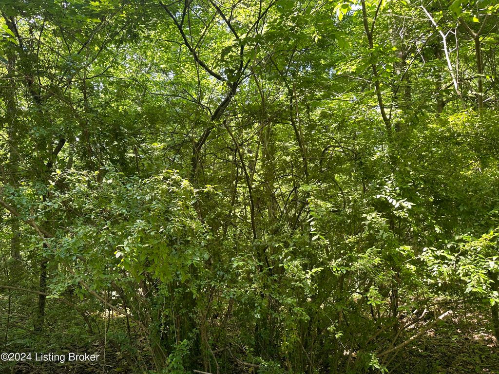 Photo of 259,260,26 Sycamore Dr, New Haven, KY 40051 (MLS # 1704820)