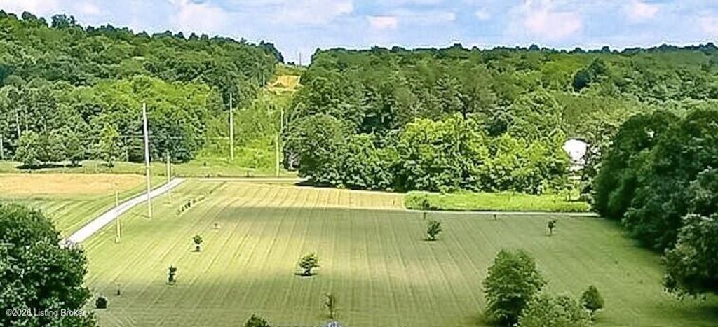 Photo of 0 Megan Way, Falls Of Rough, KY 40119 (MLS # 1718081)
