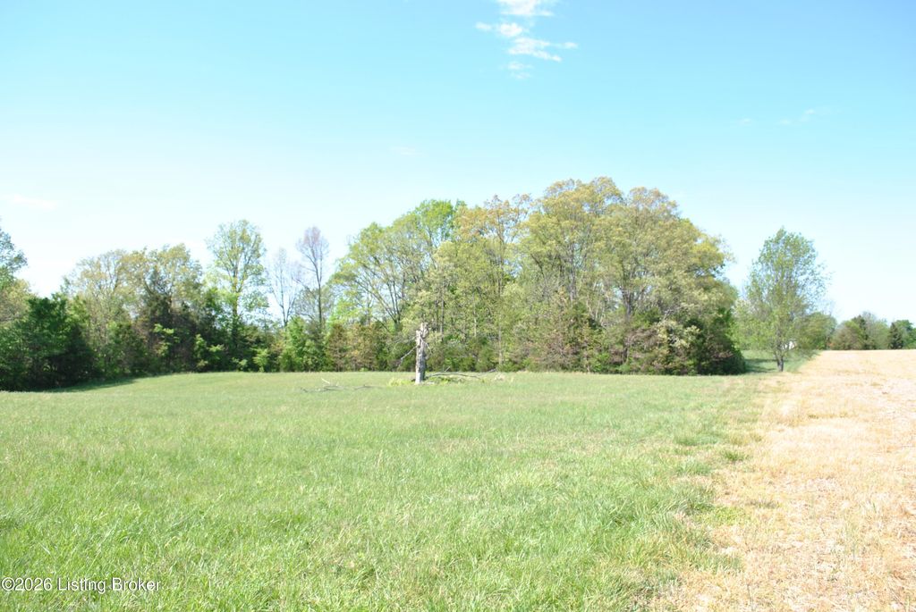 Photo of 0 T Hahn Rd, Coxs Creek, KY 40013 (MLS # 1715362)