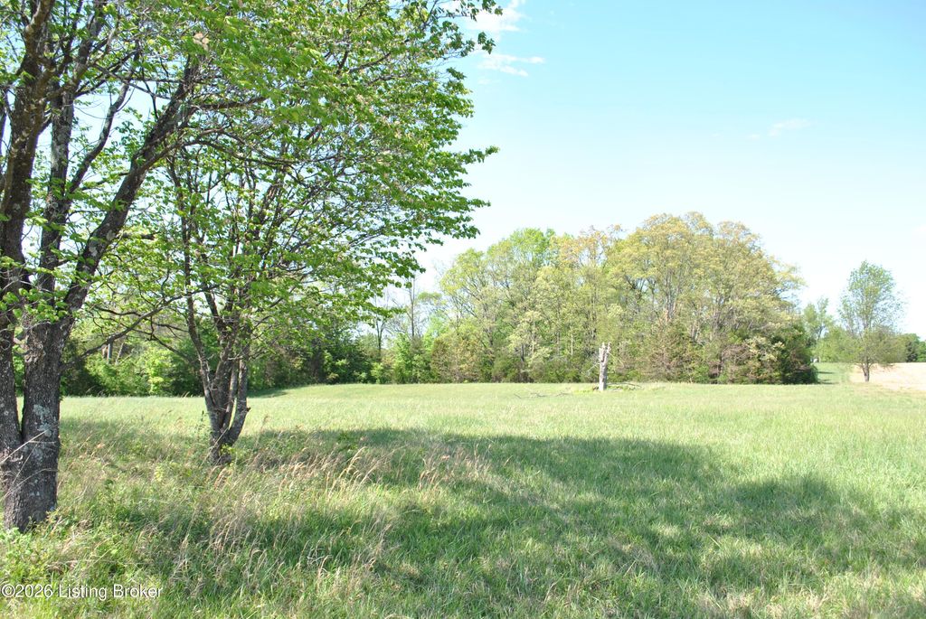 Photo of 0 T Hahn Rd, Coxs Creek, KY 40013 (MLS # 1715362)