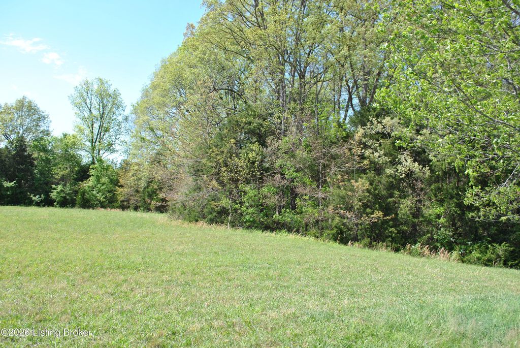 Photo of 0 T Hahn Rd, Coxs Creek, KY 40013 (MLS # 1715362)