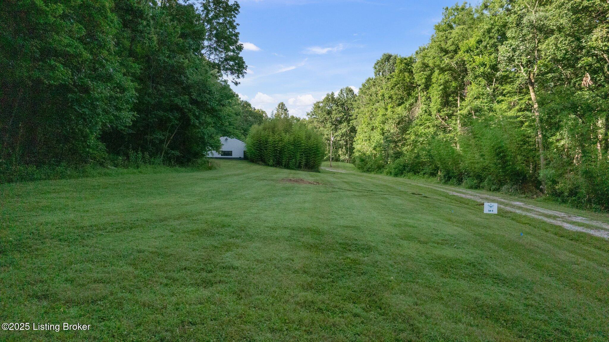 203 Conoloway Bay Dr, Clarkson, Kentucky image 9