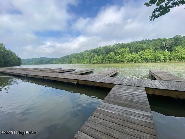 203 Conoloway Bay Dr, Clarkson, Kentucky image 7