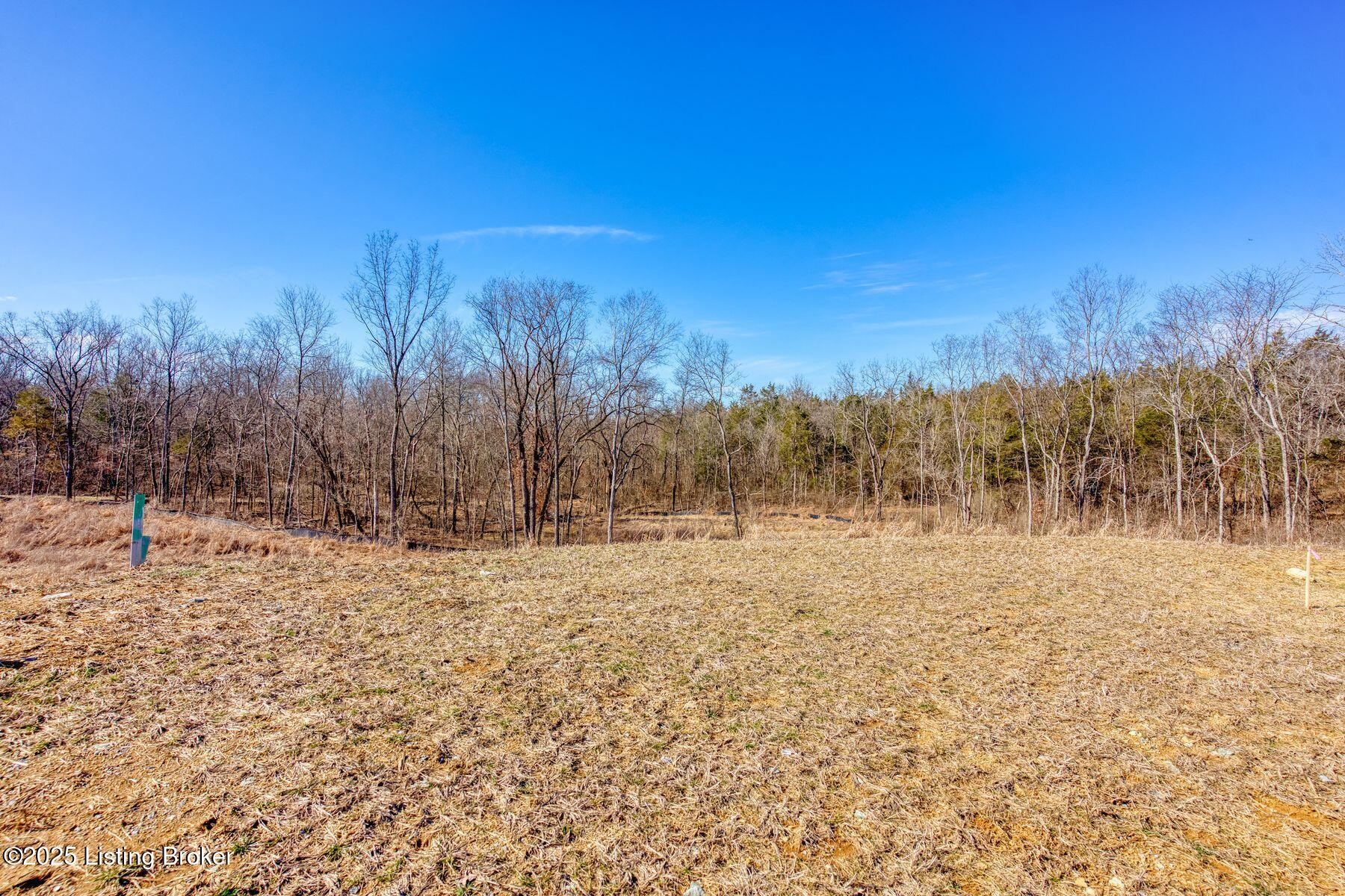 244 Catalpa Leaf Way, Fisherville, Kentucky image 6